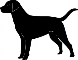Labrador cliparts | Dog outline, Dog stencil, Dog silhouette