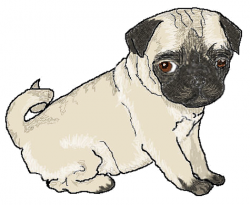 Free Pug Cliparts, Download Free Clip Art, Free Clip Art on ...