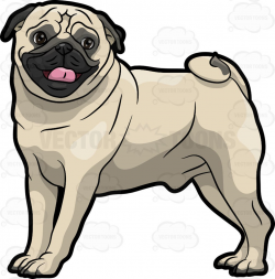Pug Clipart at GetDrawings.com | Free for personal use Pug ...
