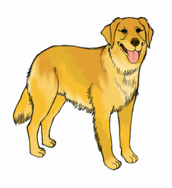 Realistic Dog Clipart