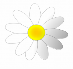 Daisy Flower Free Download Png Clipart - Art, Transparent Png ...