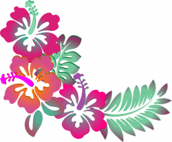 Free Hawaiian Flower Designs, Download Free Clip Art, Free Clip Art ...