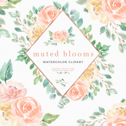 Watercolor Flowers Clipart - Muted Blooms | Peach Cream Blush Floral  Graphics PNG with Transparent Background