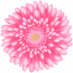 Flower Pink Transparent Clip Art Image | Gallery Yopriceville ...