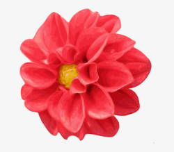 Red, Flower, Cartoon, Love, Pink, Rose, Rosa, Gift - Realistic ...