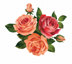 Drawing Rose Beautiful Flower - Rose Flowers Clip Art Free PNG ...