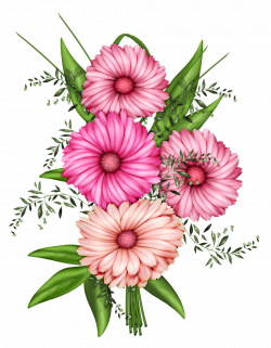 Flowers Transparent PNG Clipart | Gallery Yopriceville - High ...