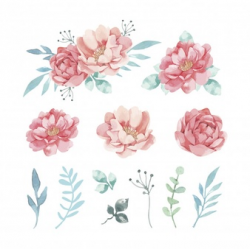 Watercolor Flowers Vectors, Photos and PSD files | Free Download