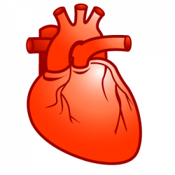 Real Heart Clipart | Free download best Real Heart Clipart on ...