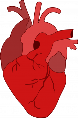 Heart Real Drawing | Free download best Heart Real Drawing on ...