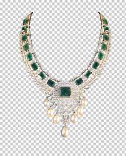 Shree Jewellers Earring Jewellery Diamond Necklace ...