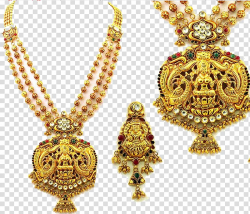 Gold-colored necklace, South India Jewellery Earring ...