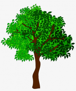 Clipart Tree Big Image - Summer Tree Clipart - Free ...