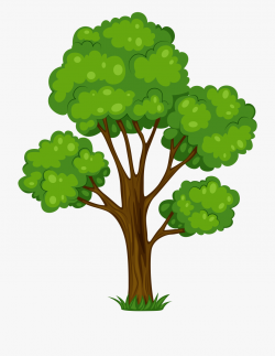 Oak Tree Tree Clip Art Free Clipart Image Clipart Image ...