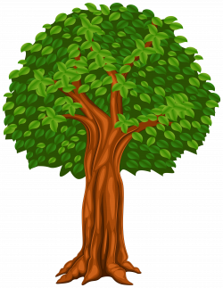 Tree Cartoon PNG Clip Art Image | Gallery Yopriceville ...