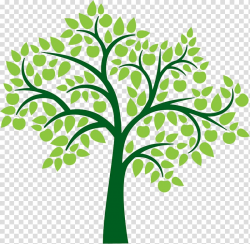 Download for free 10 PNG Clipart trees clear background top ...