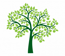 Download for free 10 PNG Clipart tree clear background top ...