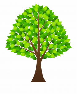 Tree Transparent Clipart Tree Transparent Clipart - Tree ...