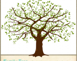 Family tree clip art tree clipart image - Clipartix