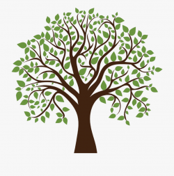 Download for free 10 PNG Tree clipart family top images at ...