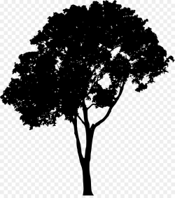 Tree Branch Silhouette clipart - Tree, Silhouette, Graphics ...