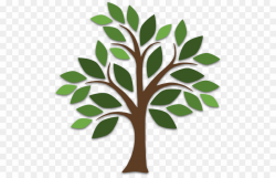 Simple Tree Drawing PNG Drawing Tree Clipart download - 557 ...