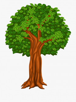 Png Clip Art Image Gallery Yopriceville High - Tree Cartoon ...