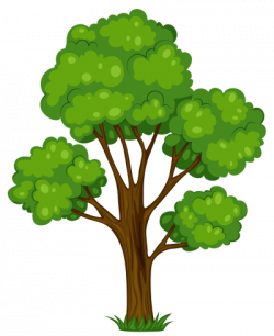 Download TREE Free PNG transparent image and clipart