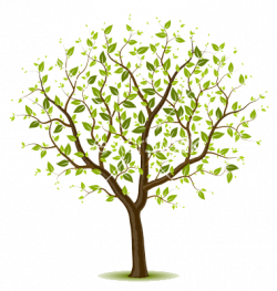 spring-tree-vector-382157 | Vector trees, Family tree art ...