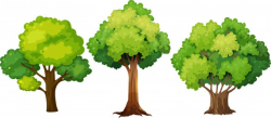 Tree Vectors, Photos and PSD files | Free Download