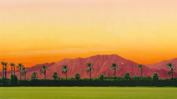 50+] Coachella Wallpaper on WallpaperSafari