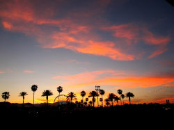 Coachella Wallpaper (68+ images)