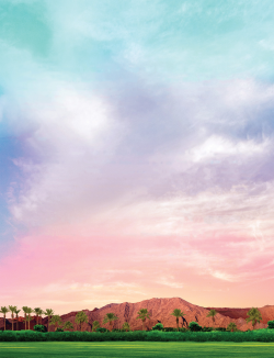 The blank Coachella background I made for my mix cover photo ...