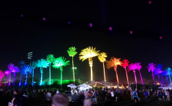 Coachella Palm Trees : Coachella