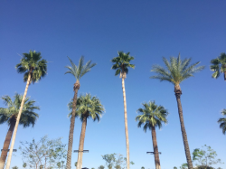 Let\'s Gochella to Coachella - Her Travel Edit
