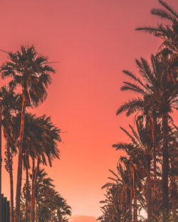 Coachella 2017 lineup announced – Journal Hotels