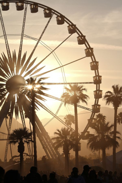 Coachella in 2019 | Festival photography, Coachella ...