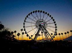 Amazon.com: Photography Poster - Coachella, Ferris Wheel ...