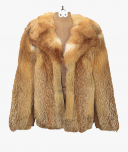 The Perfect Winter Coat - Fur Coat Png #599808 - Free ...