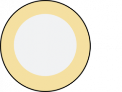 Blank Coin Clip Art at Clker.com - vector clip art online ...