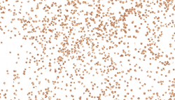 Rose gold glitter confetti on transparent background Pillow Sham