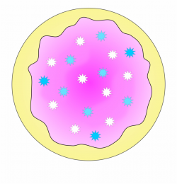 Sugar Cookie Clipart - Sugar Cookie Clipart Transparent ...