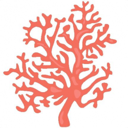 Coral Clipart | Free download best Coral Clipart on ...