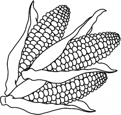 Free Corn Cliparts, Download Free Clip Art, Free Clip Art on Clipart ...