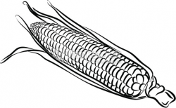 Corn clipart black and white letters example – Gclipart.com