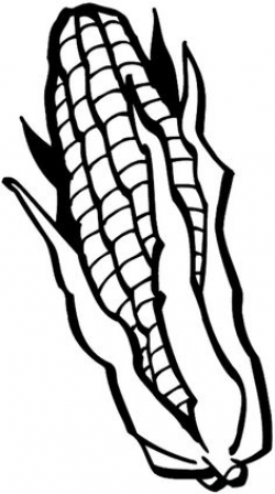 Corn clip art 2 clipartbold 2 - Clipartix