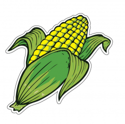 Corn on the cob clipart - Clip Art Library