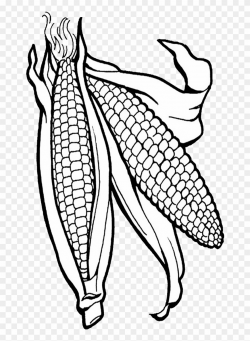 Corn Clipart Png Corn Clipart - Corn Coloring Page Transparent Png ...