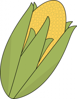 Ear of Corn Clip Art - Ear of Corn Image