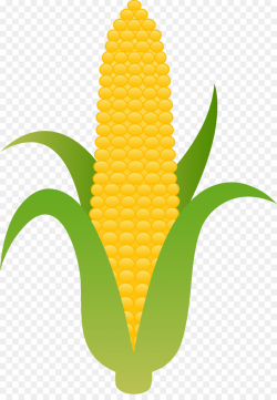 Ear of corn clipart 3 » Clipart Station